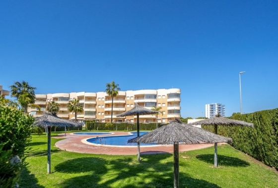 Apartament - Rynek Wtórny - Campoamor - DOM-7334