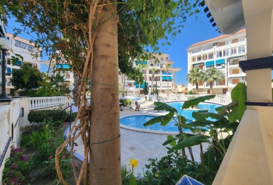 Apartament - Rynek Wtórny - La Mata - DOM -6199