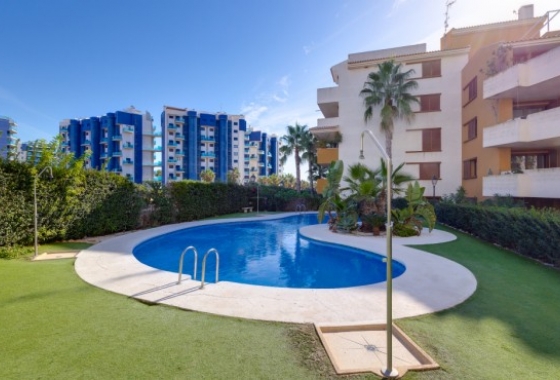 Apartament - Rynek Wtórny - Orihuela Costa - Punta Prima