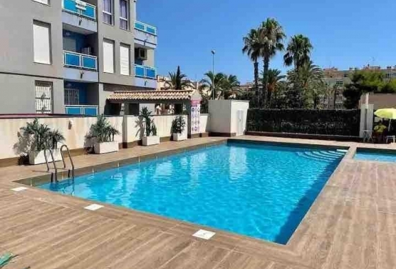 Apartament - Rynek Wtórny - Torrevieja - DOM-1014