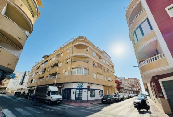 Apartament - Rynek Wtórny - Torrevieja - DOM - 3578
