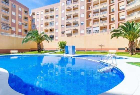 Apartament - Rynek Wtórny - Torrevieja - DOM - 4589