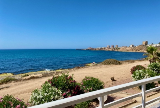 Apartament - Rynek Wtórny - Torrevieja - DOM-9920