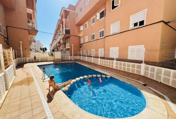 Apartament - Rynek Wtórny - Torrevieja - La Mata pueblo