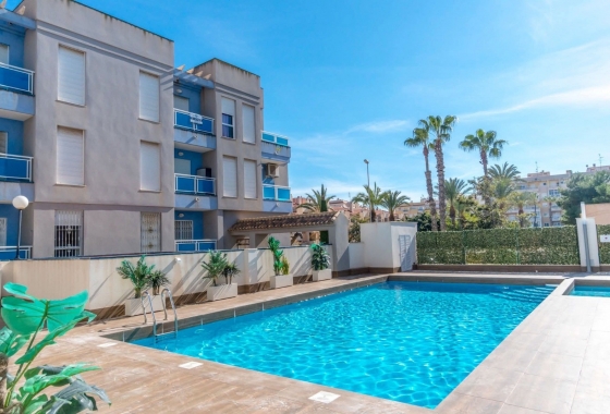 Apartament - Rynek Wtórny - Torrevieja - Playa de los Locos