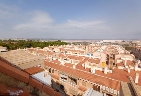 Apartament - Rynek Wtórny - Torrevieja - Playa del Acequión