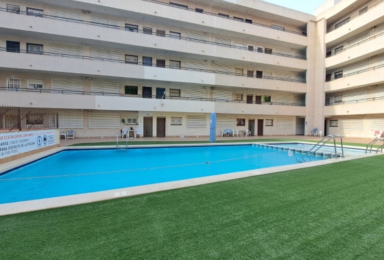 Apartament - Rynek Wtórny - Torrevieja - Playa del Cura