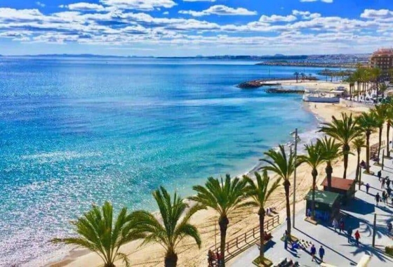 Apartament - Rynek Wtórny - Torrevieja - Playa del Cura