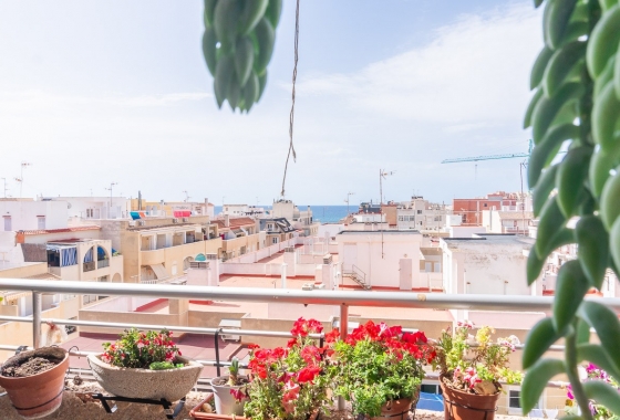Apartament - Rynek Wtórny - Torrevieja - PLAYA LOS LOCOS