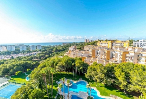 Apartamento / piso - Reventa - Campoamor - DOM-8998