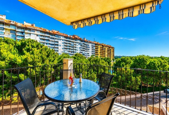 Apartamento / piso - Reventa - Dehesa De Campoamor - Dehesa De Campoamor