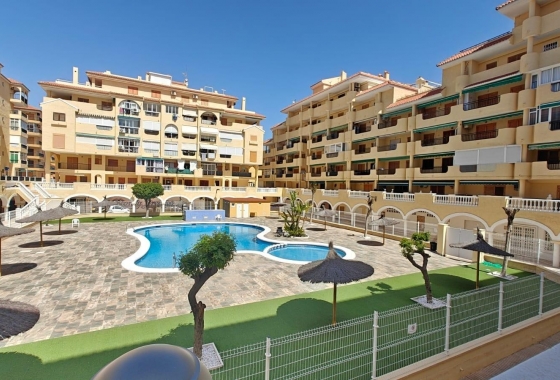 Apartamento / piso - Reventa - La Mata - La Mata