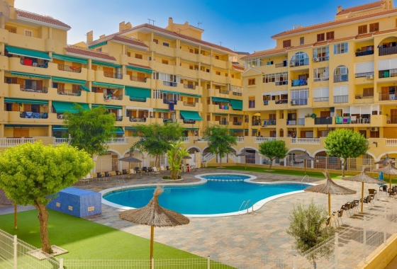 Apartamento / piso - Reventa - La Mata - La Mata