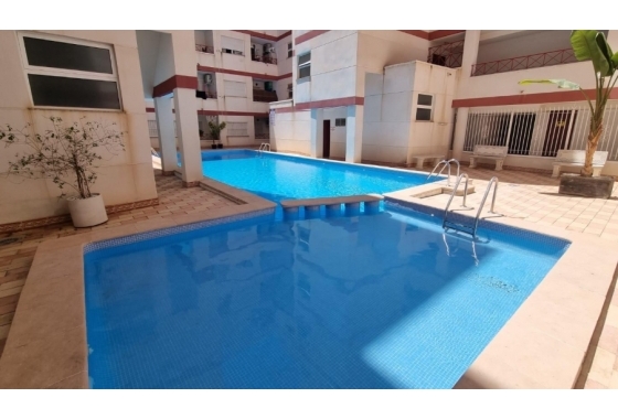 Apartamento / piso - Reventa - Torrevieja - DOM-9332
