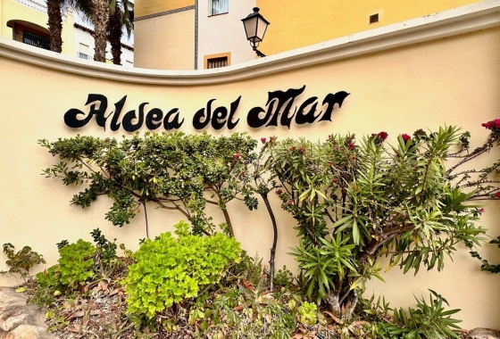 Apartamento / piso - Reventa - Torrevieja - Playa de los Locos