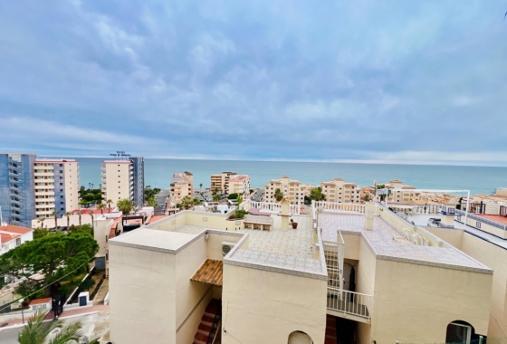 Apartamento / piso - Reventa - Torrevieja - Torreblanca