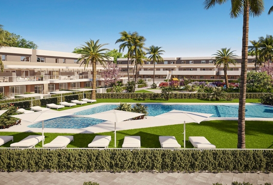 Apartment / flat - New Build - Elche - Center