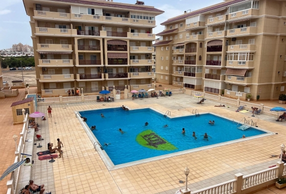 Apartment / flat - Resale - La Mata - La Mata