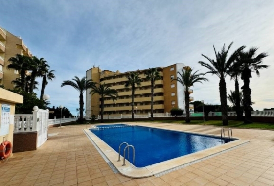 Apartment / flat - Resale - La Mata - La Mata