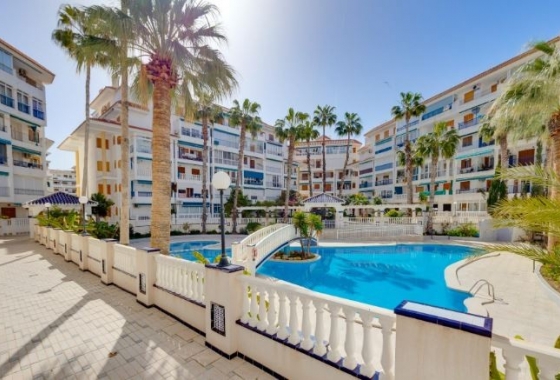 Apartment / flat - Resale - La Mata - La Mata