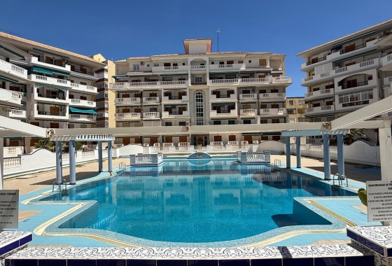 Apartment / flat - Resale - La Mata - La Mata