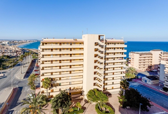 Apartment / flat - Resale - La Mata - La Mata