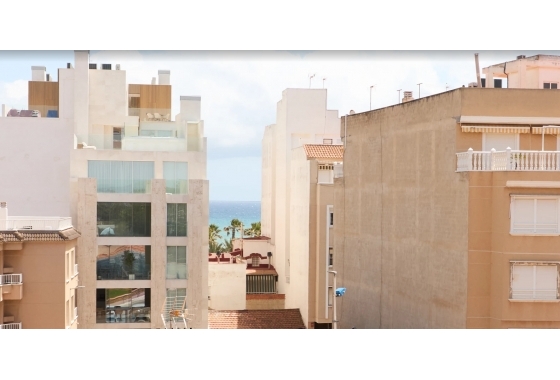 Apartment / flat - Resale - La Mata - La Mata