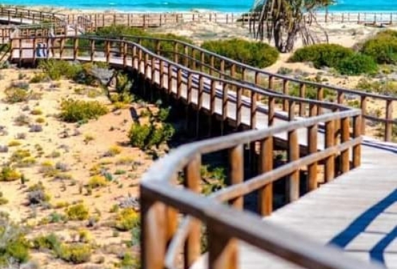 Apartment / flat - Resale - Santa Pola - DOM-6235