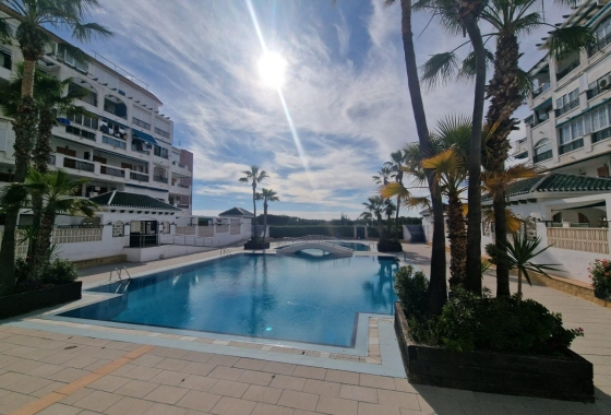 Apartment / flat - Resale - Torrevieja - DOM-0825