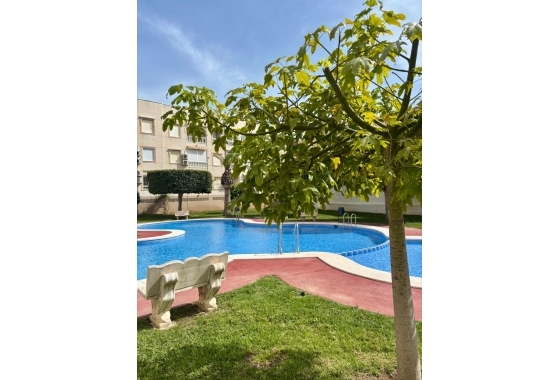 Apartment / flat - Resale - Torrevieja - Playa Acequion