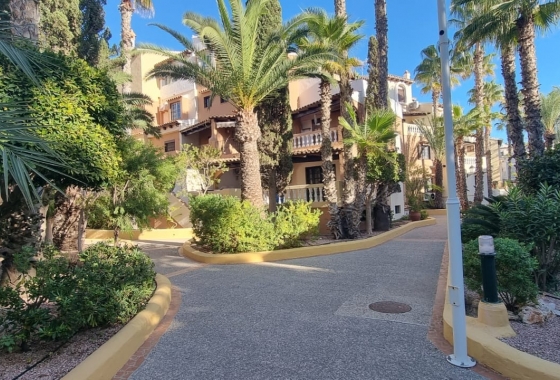 Apartment / flat - Resale - Torrevieja - Playa de los Locos
