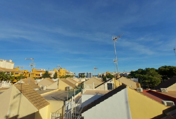 Bungalow - Rynek Wtórny - Punta Prima - DOM- 7333