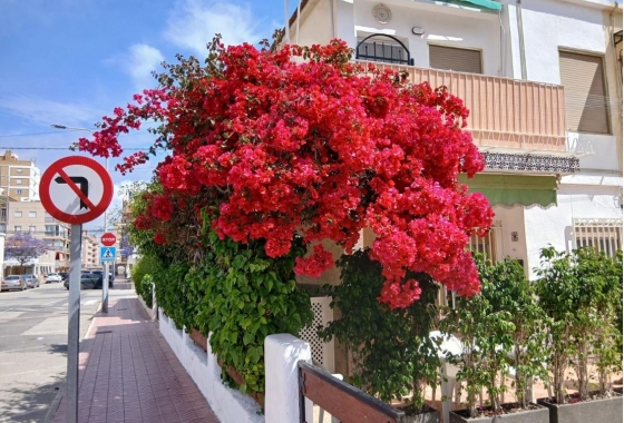 Bungalow - Rynek Wtórny - Santa Pola - DOM-5820