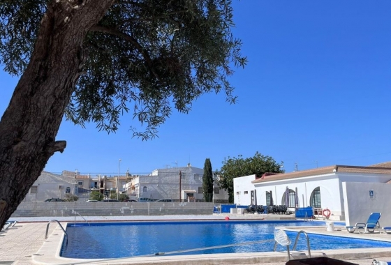 Bungalow - Rynek Wtórny - Torrevieja - DOM-2021