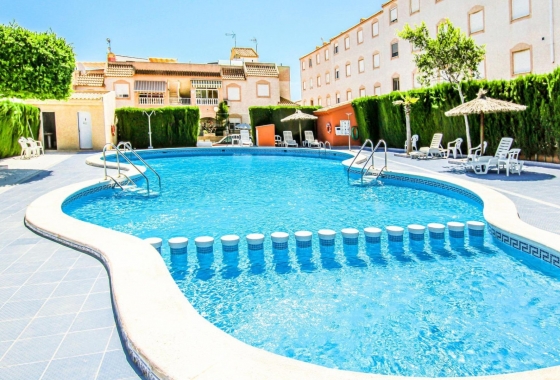 Bungalow - Rynek Wtórny - Torrevieja - Los Balcones - Los Altos del Edén