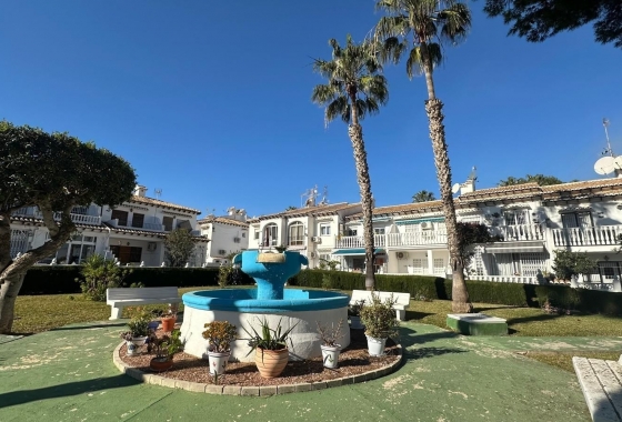 Bungalow - Rynek Wtórny - Torrevieja - Torrevieja - Los Balcones