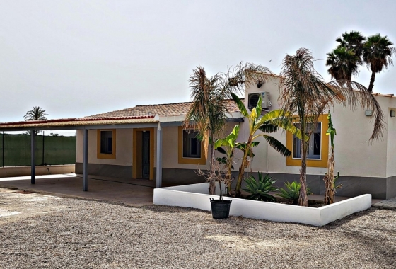 Dom - Rynek Wtórny - Elche Pedanías - DOM-2660