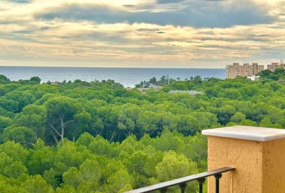 Duplex - Reventa - Alicante - Campoamor