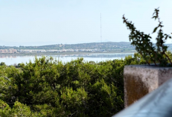 Estudio - Reventa - Torrevieja - La Siesta - El Salado -  Torreta