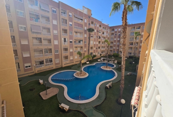 Estudio - Reventa - Torrevieja - Parque de Las Naciones