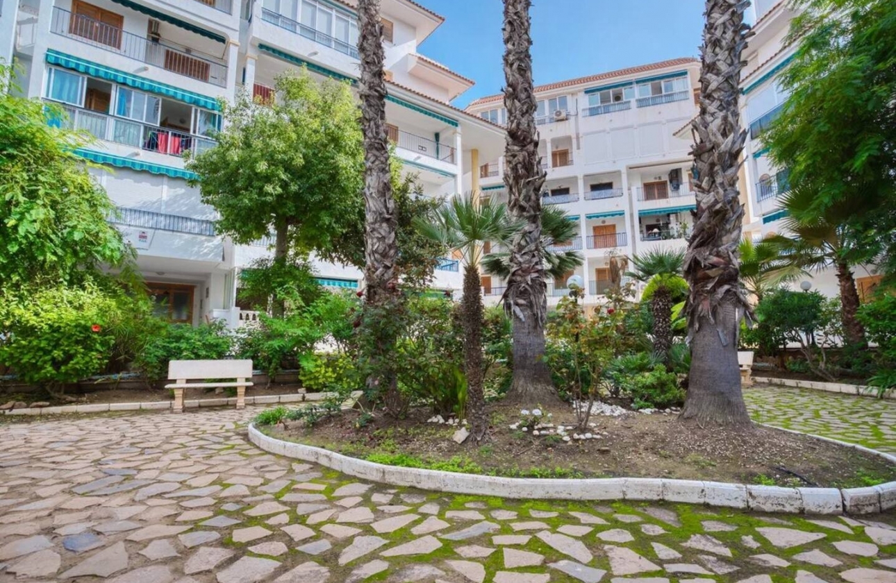 Resale - Apartment / flat - La Mata