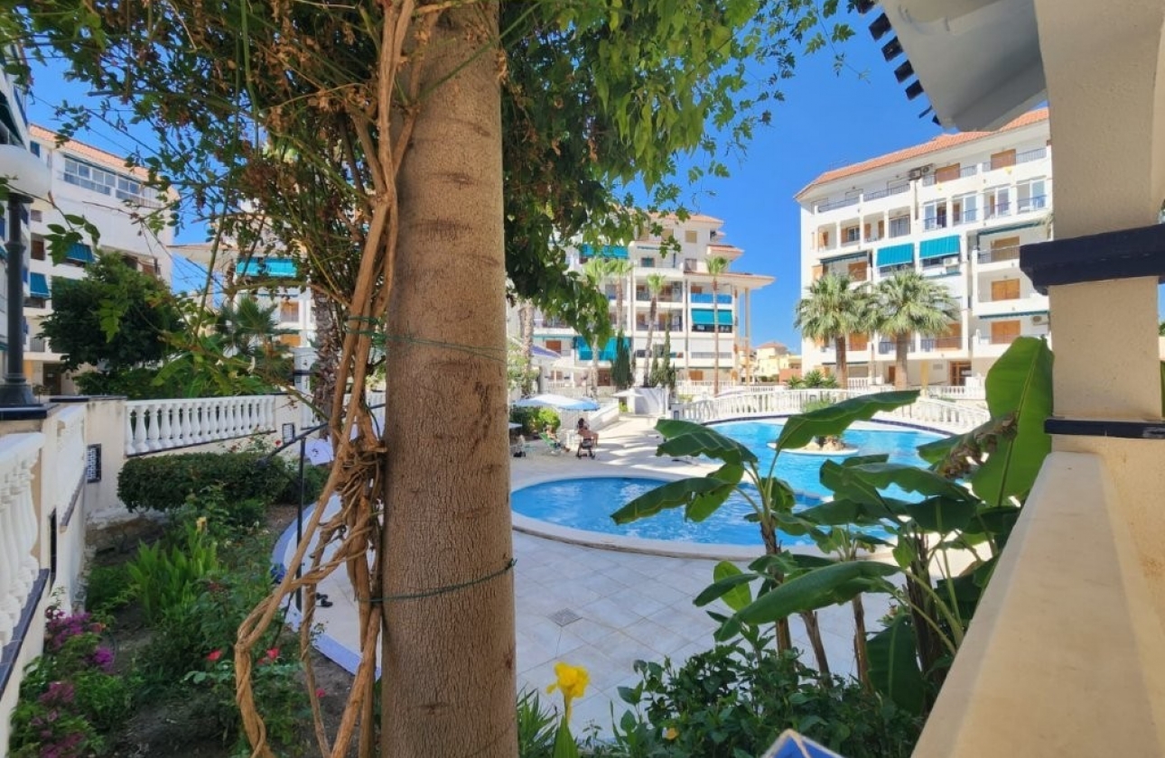 Resale - Apartment / flat - La Mata