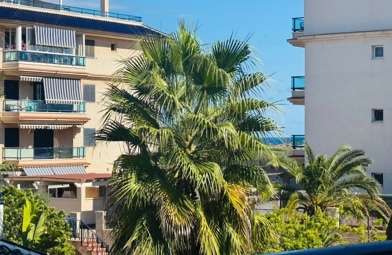Resale - Bungalow - Torrevieja - LA MATA