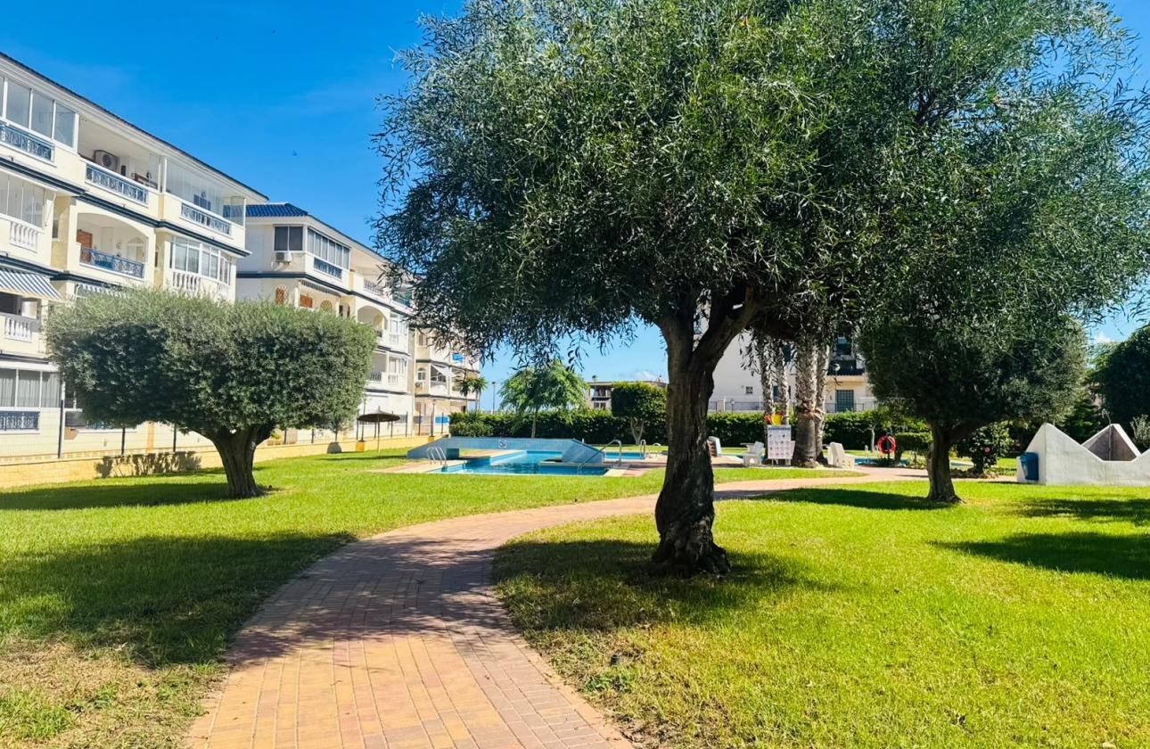 Resale - Bungalow - Torrevieja - LA MATA