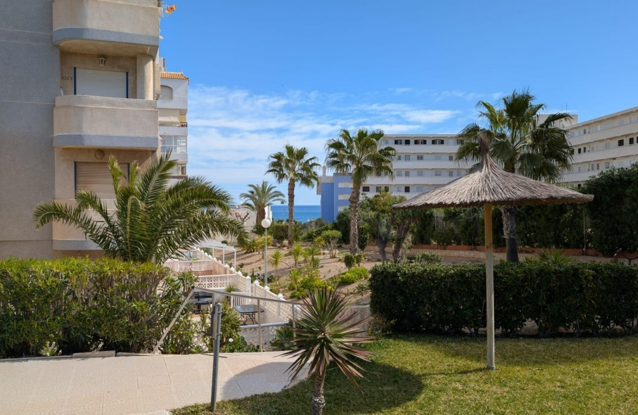 Resale - Studio - Torrevieja - Torre la mata