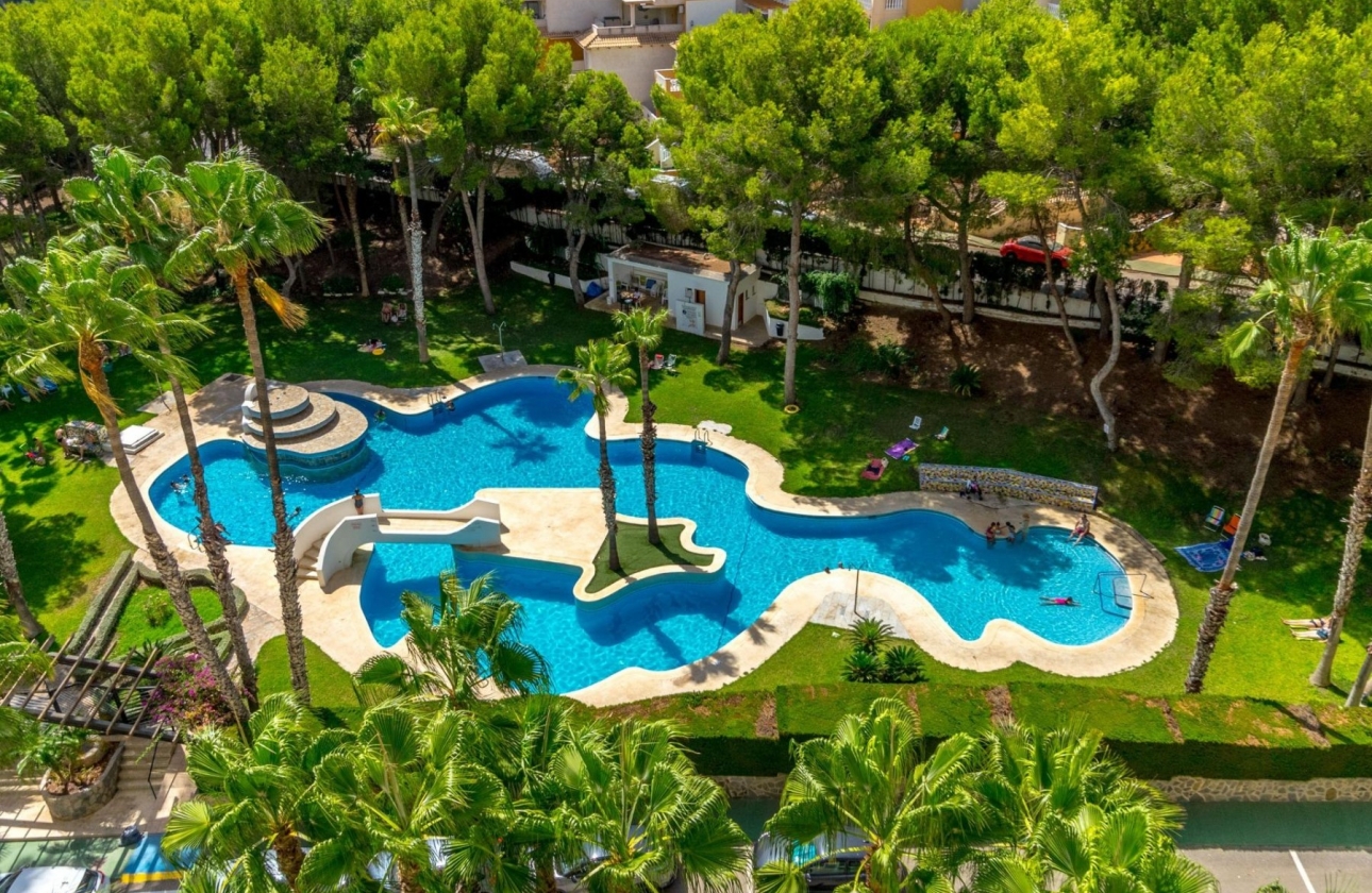 Reventa - Apartamento / piso - Dehesa De Campoamor