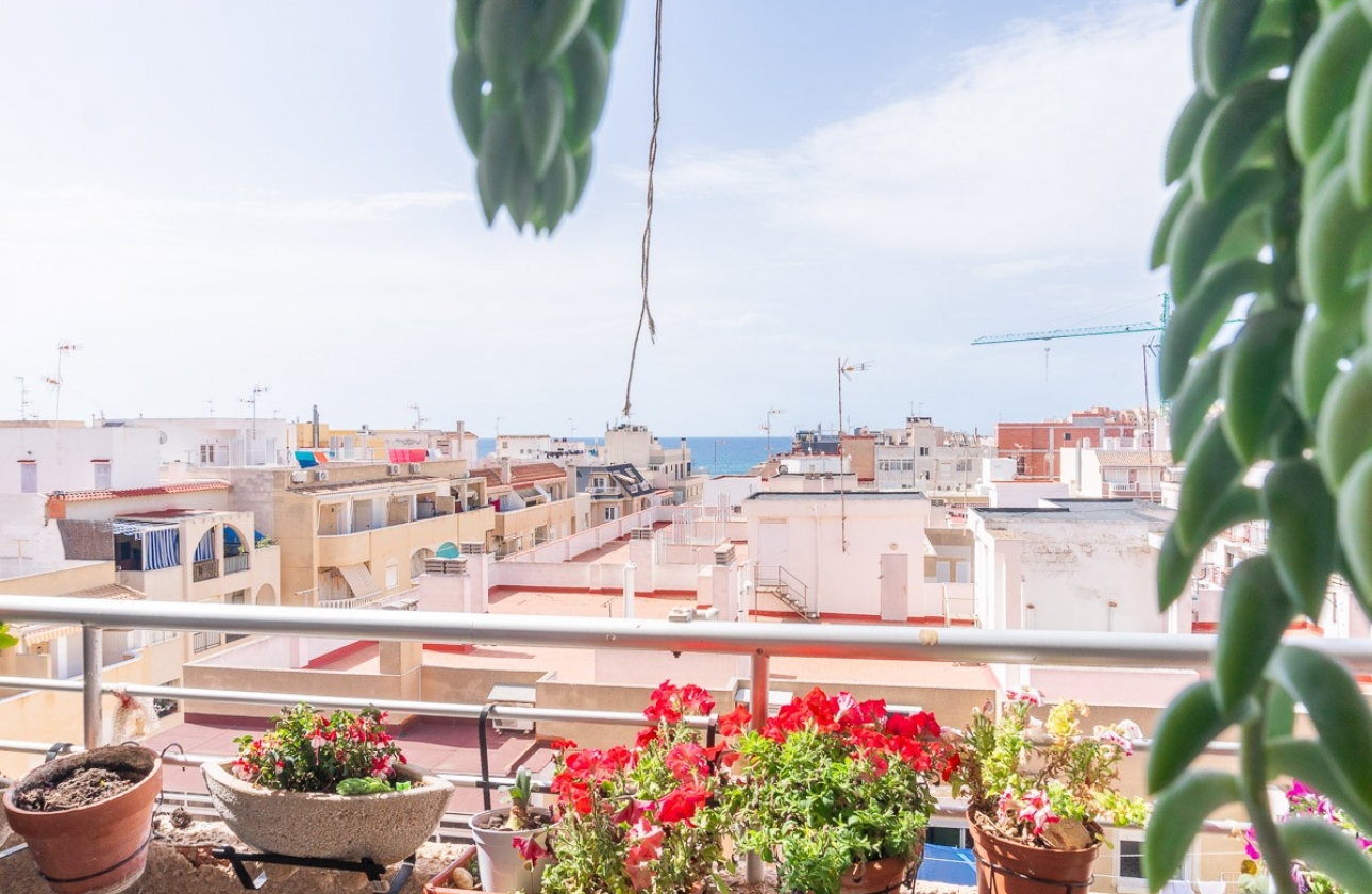 Reventa - Apartamento / piso - Torrevieja - PLAYA LOS LOCOS