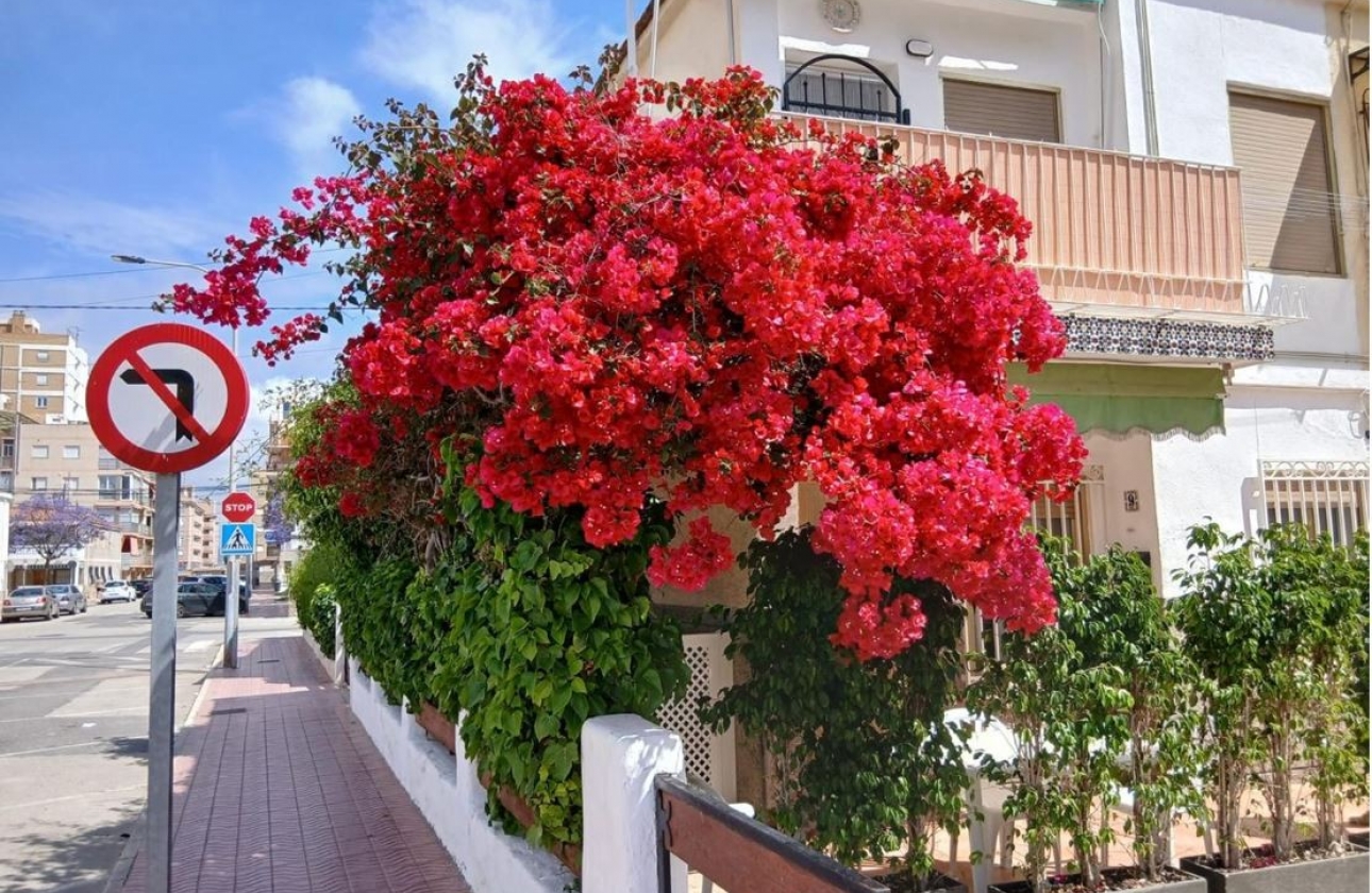 Reventa - Bungalow - Santa Pola - Playa Lisa