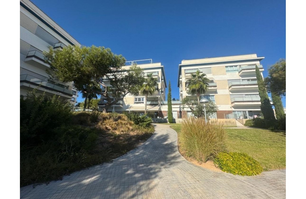 Rynek Wtórny - Apartament - Orihuela Costa - Playa Flamenca