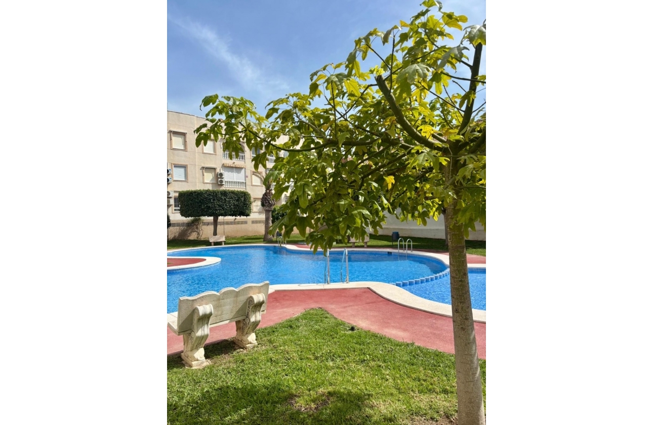 Rynek Wtórny - Apartament - Torrevieja - Playa Acequion
